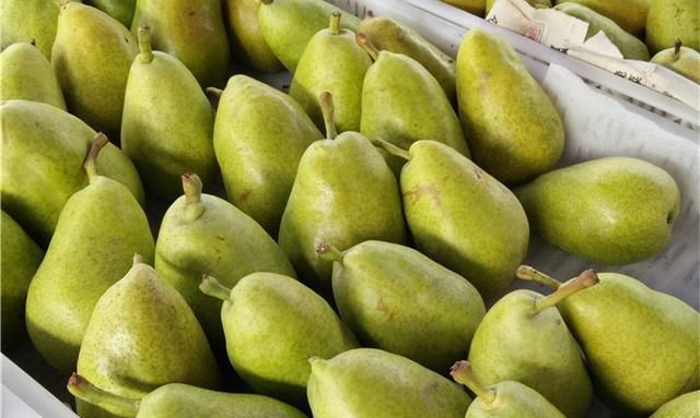 明日惊蛰,传统习俗除了吃梨,还要吃这6种美食,你都知道吗?