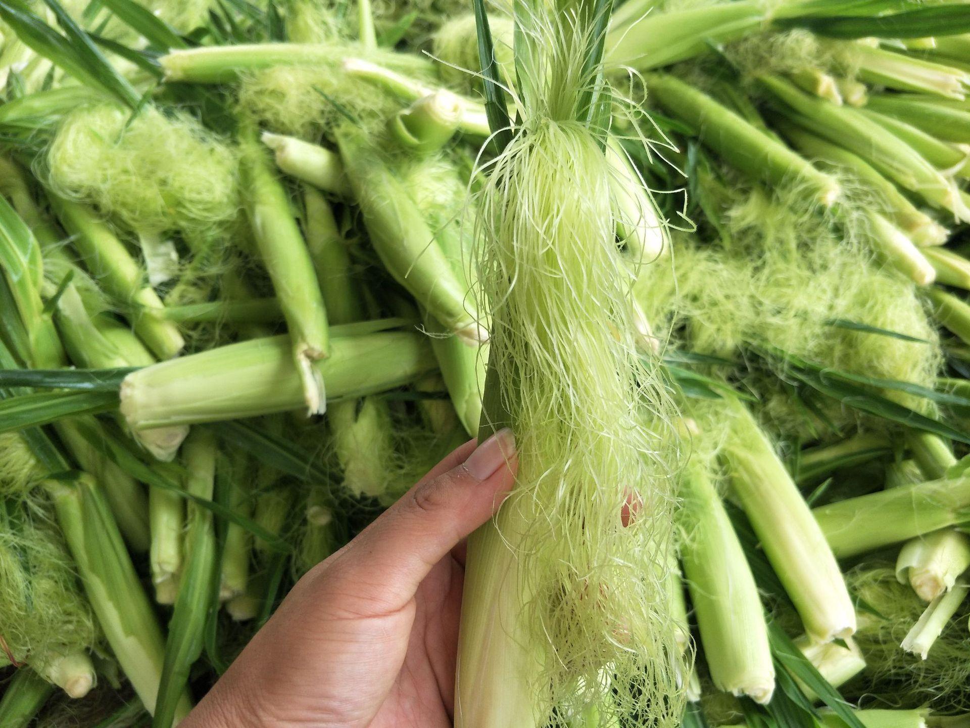 肾炎|除了玉米粒外,藏在玉米身上的这3大宝贝,好处你未必都知道