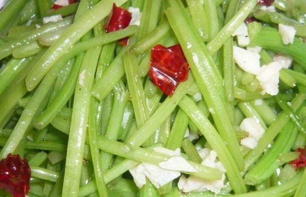 旋花科|它常生长于岩石缝中,形状酷似韭菜,春季采摘正当时切勿错过