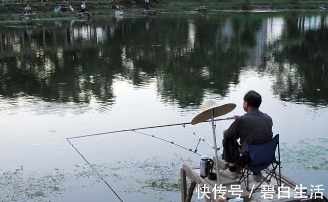 钓鱼|钓12斤鲈鱼被查,长江一杆一线垂钓,为何成了非法偷钓?