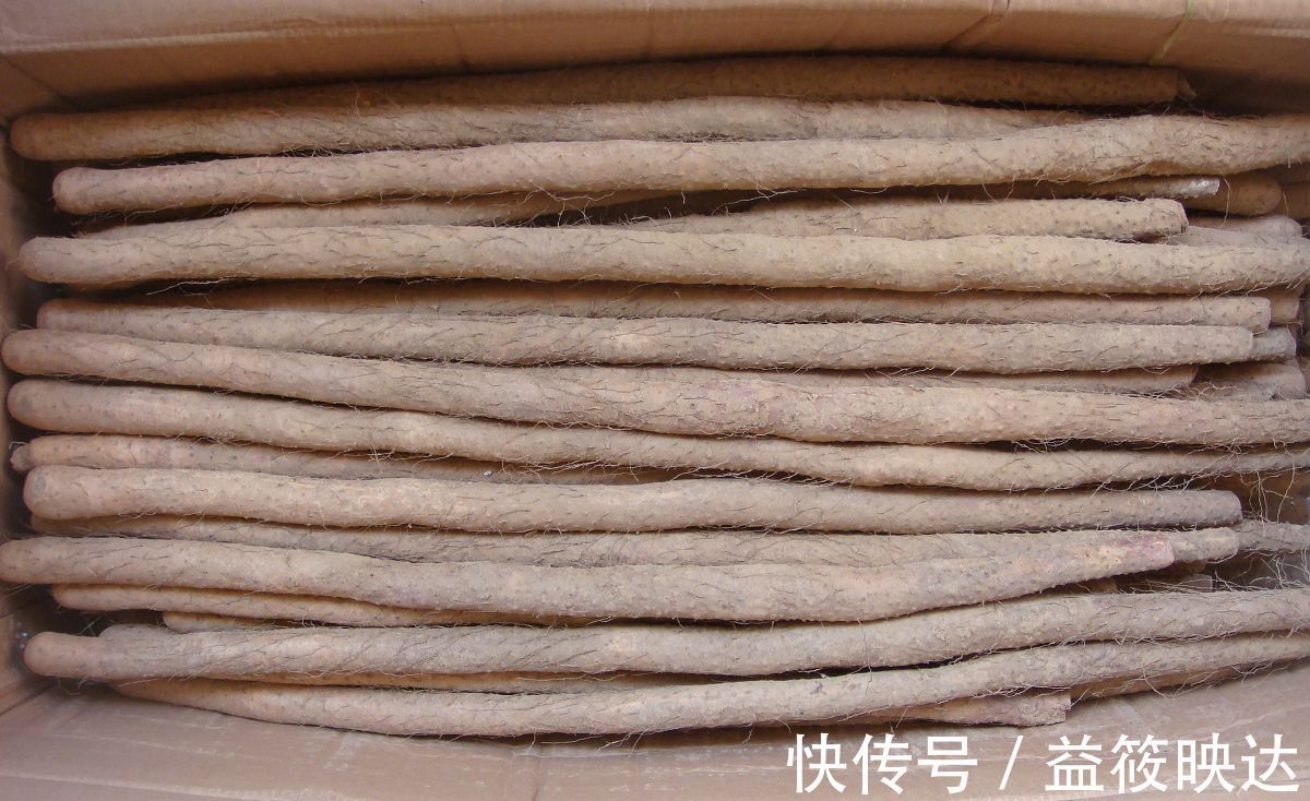 燕麦|糖尿病的“4大克星”,苦瓜才排第二,排第一的很少有人清楚!