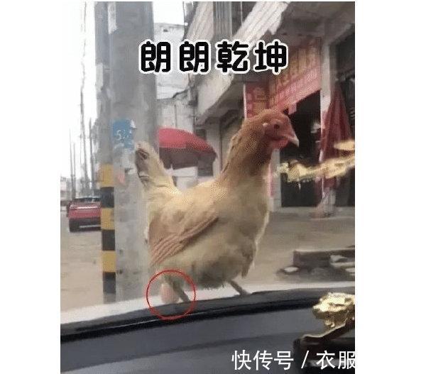 |甜粽和咸肉粽要打起来了 冷段子1830