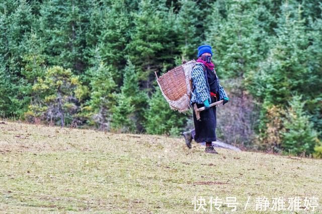 东哇村|藏在甘南深山里的绝美秘境，传说中神仙居住的地方，你想去吗？