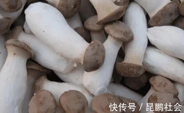 买杏鲍菇,大的好还是小的好?都不对,牢记5点,保证新鲜又肥厚