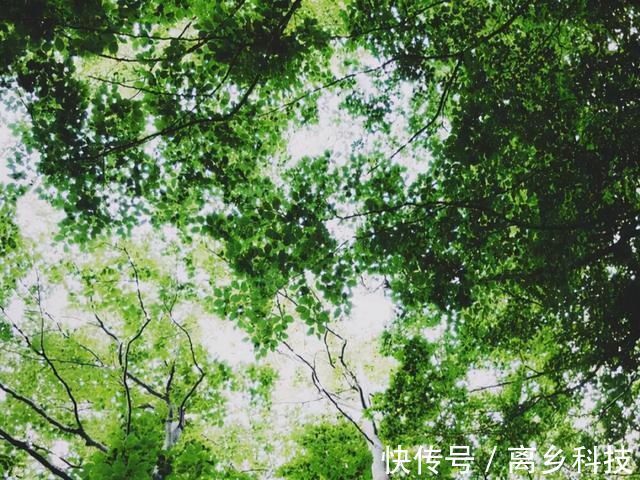 内敛|平时不起眼,关键时刻有大将风范的星座,沉稳内敛是他们的内核