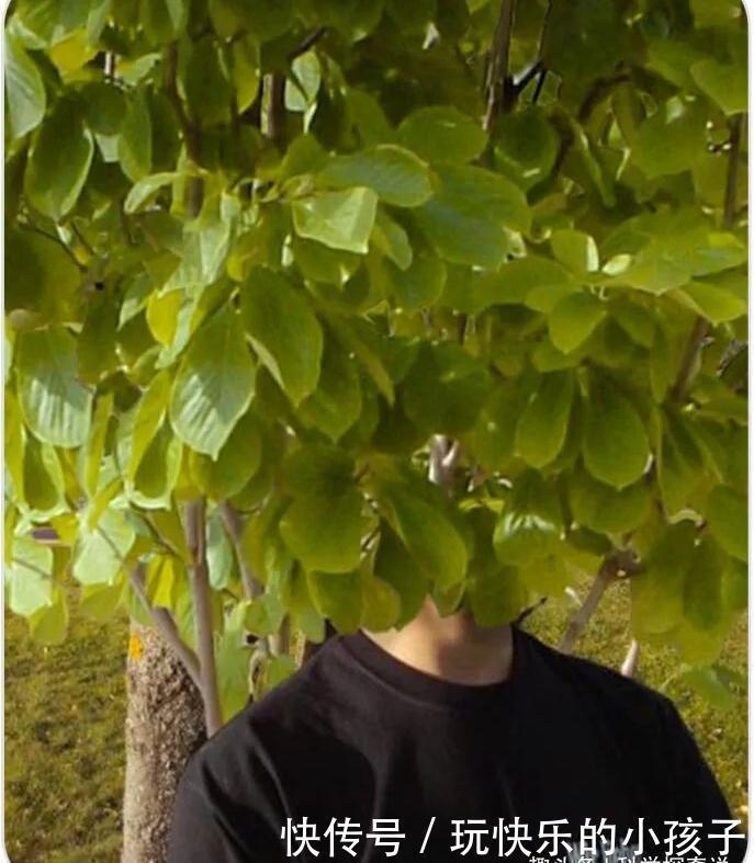 |一组P图高手修出来的搞笑照片，最后那张简直毫无PS痕迹