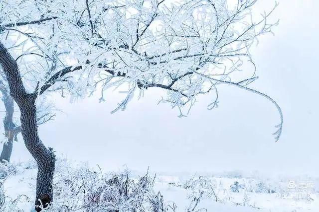 童话|冰天雪地，童话吉林