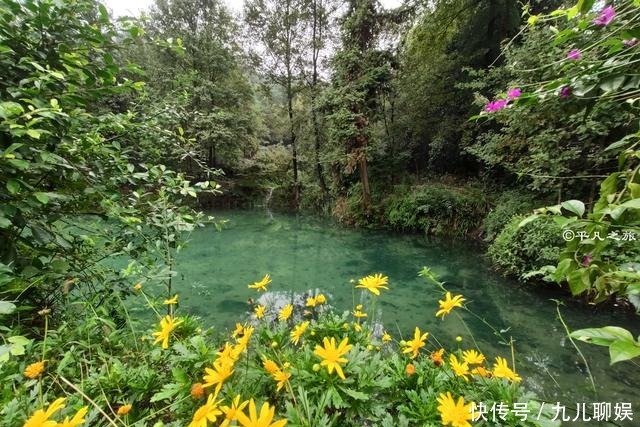 瑶池|重庆九凤瑶池、虎峰寺，隐藏于缙云山脉的神仙景点