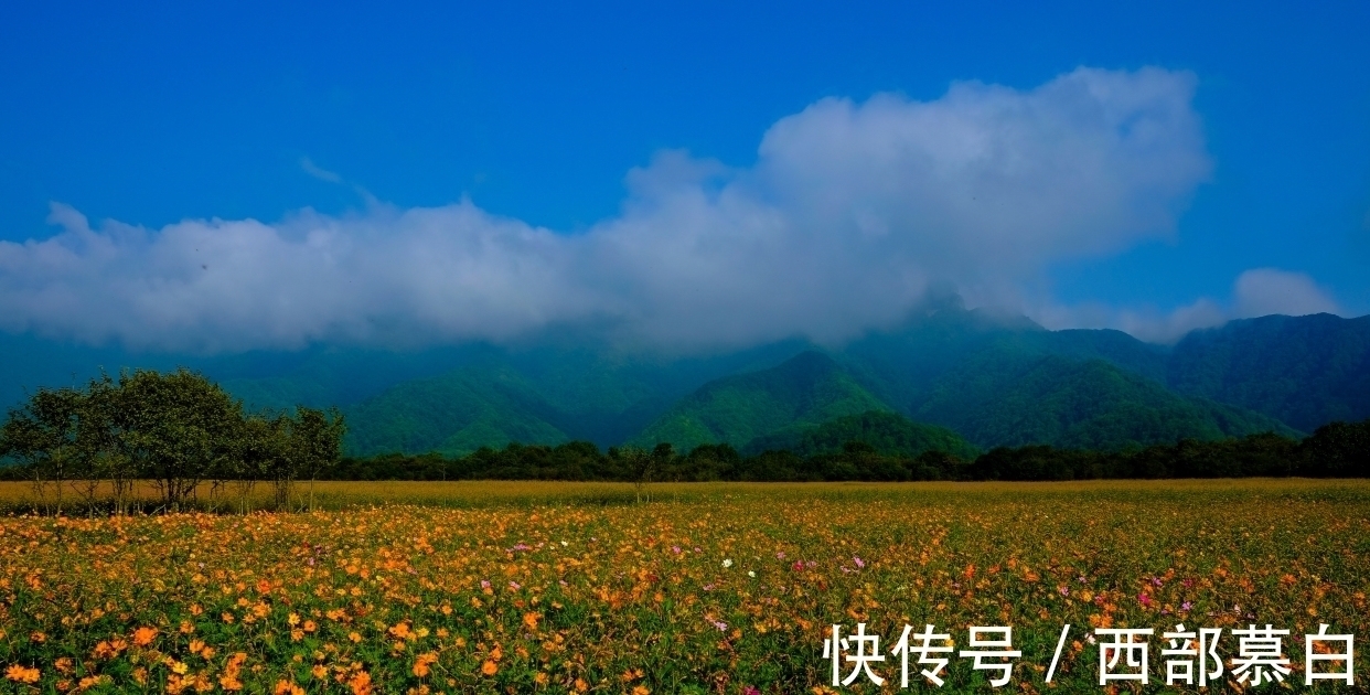 一切随缘|淡泊名利,活得很通透的星座,事不争、人不比、心不求
