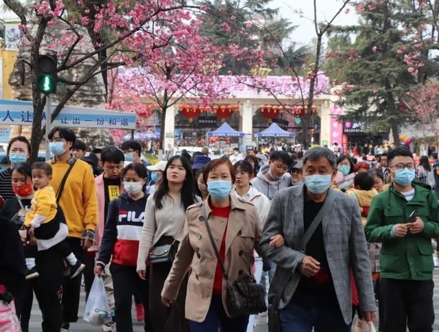 2万人扎堆赏花！昆明圆通山周边昨天堵爆！今天呢？继续堵……