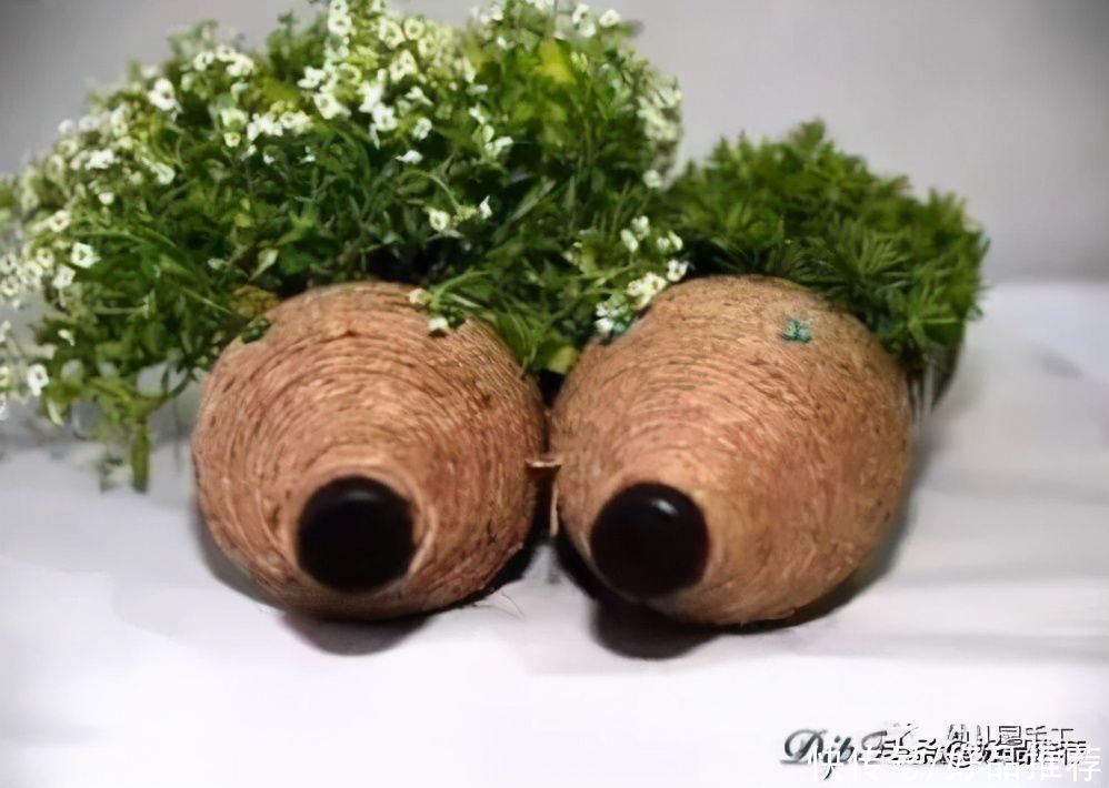  收纳|塑料瓶手工制作 老师们、家长们收藏吧