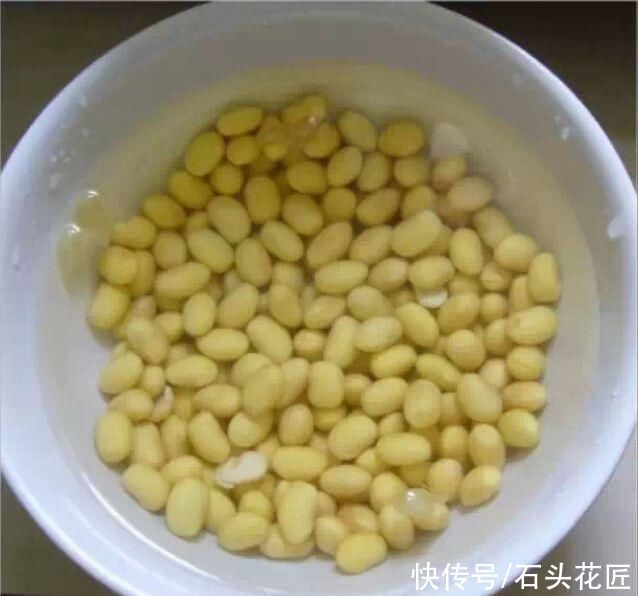 板结|养花土变成“大土块”？这都是你自己造成的，这里有解决办法
