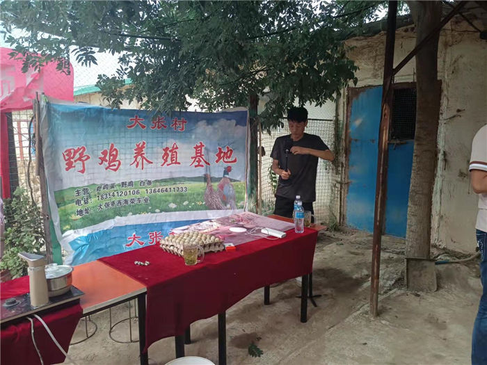 山鸡蛋|商河玉皇庙：小小山鸡蛋搭乘上“电商号”