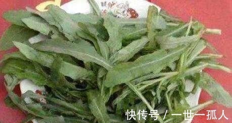 野菜|这种野草皇帝都吃过，若见到不要再当普通杂草，它的作用可大了！