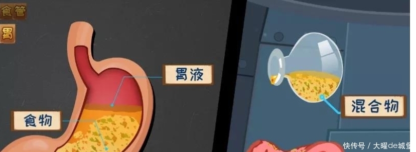 胃食管反流咋回事?反酸烧心背后真相是啥?胃食管反流发病机制