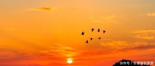 大漠|凉州诗词 使至塞上