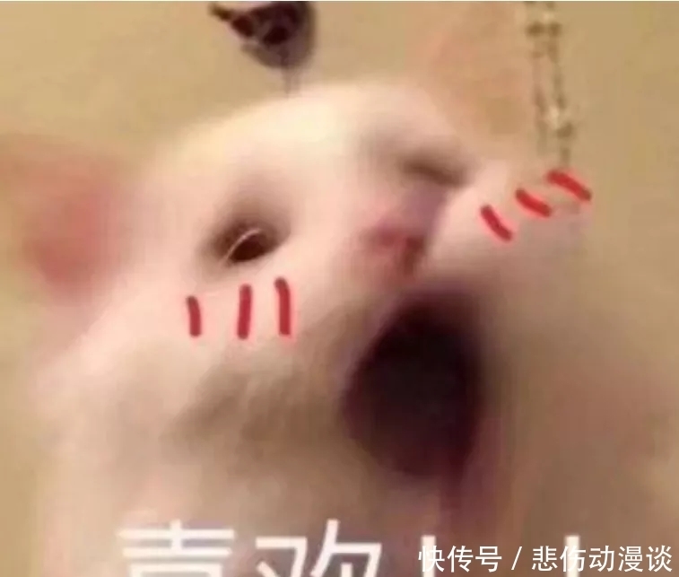 《青春有你 3》训练生对唱情歌,画风竟逐渐跑偏?