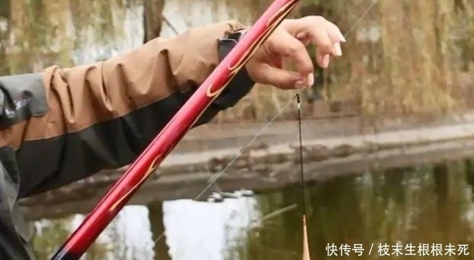 钓鱼|冷空气到来前好钓鱼？你错了，这才是钓鱼的好天气