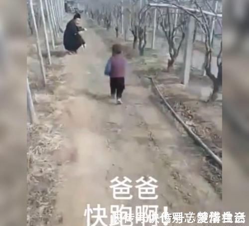孩子|萌娃带着爸爸“遛弯”,边跑还不忘自己的爹,网友:这才是亲生的