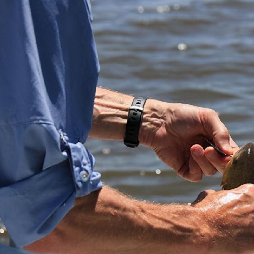 揭开“脱钩跑鱼”的神秘面纱，几招让你不再烦恼！