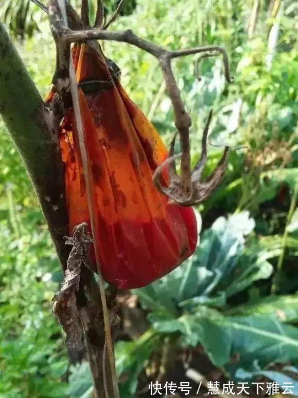 真相&24张欺骗你的眼睛照片,眼见也不一定为实!