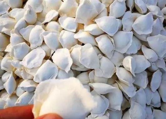 冻饺子怎么煮,用沸水还是开水教你正确做法,又鲜又香不破皮
