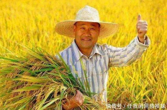  丰收|俗语“冬雪一层面，春雨满囤粮”，老农说能测来年收成，靠谱吗