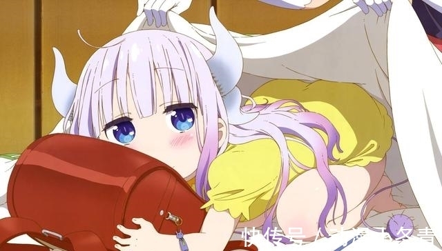 文文|为什么现实中大部分女生都不喜欢穿白丝?萝莉少女道出实情!