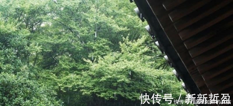 别具一格$杨万里的这首《小雨》,也是一首千古名篇,整首诗充满了诗情画意