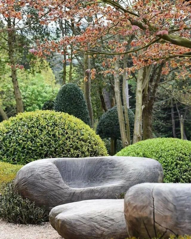 植物“整形”，花样百出