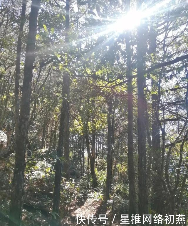 仙游石剑山，山顶一巨石形似利剑，有点霸气