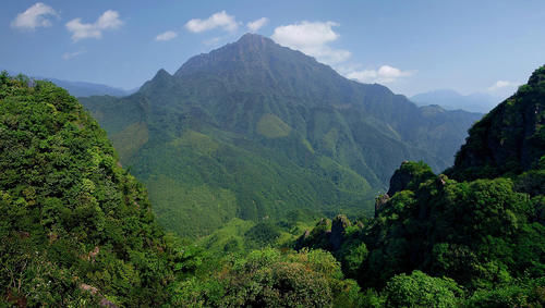 武陵|江西武陵岩山高林密，石怪洞幽、原始古朴，带你去看最美的风景