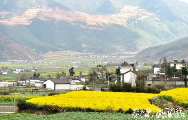 风景|中国“最温柔”的城市花木繁盛，风景秀丽，这个春天就美爆