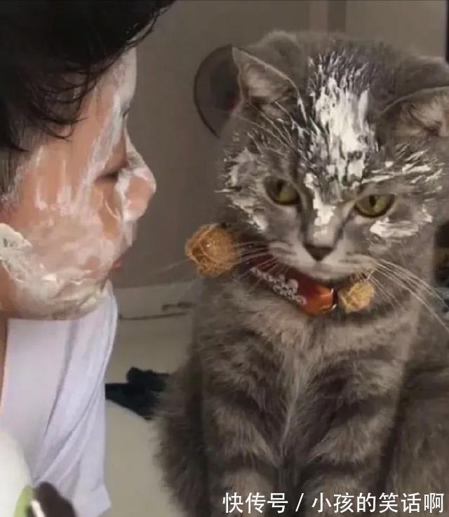 |在游乐场你见过哪些搞笑的设施?网友:这算吗,哈哈