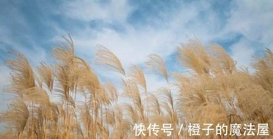 风满楼@许浑水平高超的七律,颔联乃千古名句,结尾更是相当精彩