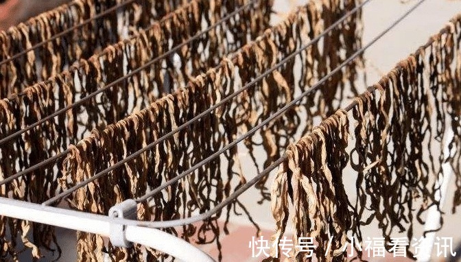味道|做干豆角，不能直接放太阳下晒，多加一步，味道好，耐保存