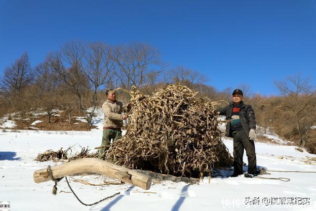 鸭绿江畔村子仅1户人家，雪山上放牛，冬天上山砍柴