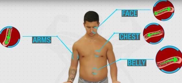 腹部|练出腹肌要花多长时间?为何腹部赘肉非常难减?明显白白报告你