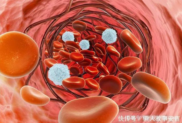 降血脂|消化科主任：降脂很简单，1种“零食”尝试吃，血脂稳，气色好