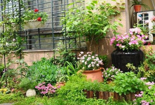 养花神器泡沫箱这般制成自动浇水箱、堆肥箱,省劲、实用!