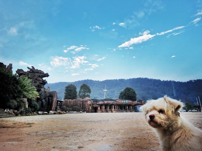  写生|写生巨石山