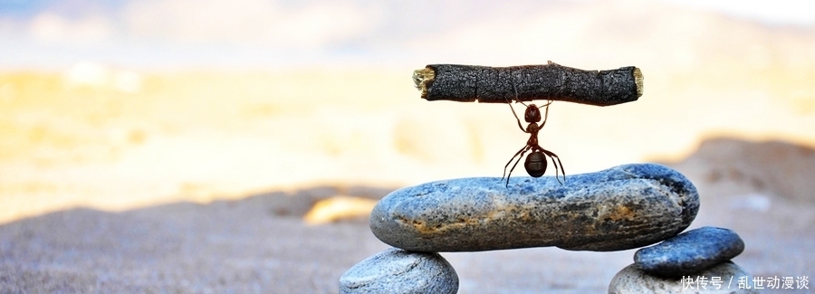 冰鉴|曾国藩:《冰鉴》中的识人智慧