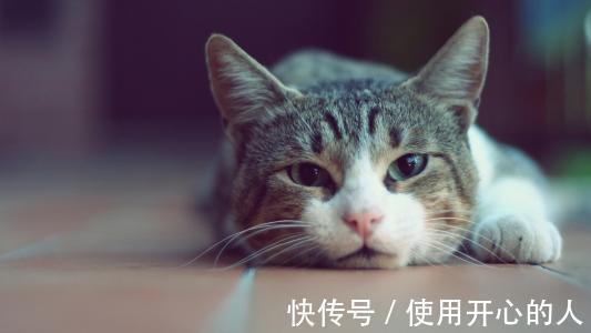 |幽默笑话:老板的公子是个富二代,从国外回来,狂追我一个女同事