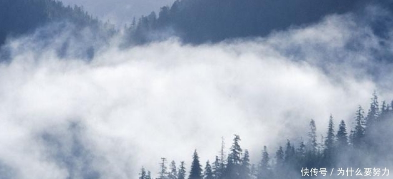 歌女#白居易最独特的一首诗,通篇写得朦朦胧胧,让人完全摸不着头脑!