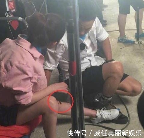 科班出身的含金量有多大,刘涛新综艺节目,揭开娱乐圈残酷真相