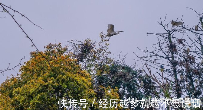 大熊猫|江南最大湿地风景区，不是西溪湿地，荣获中国最美湿地却少有人知