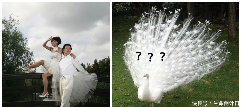 亲妈|“照片上面的人是谁啊”,婚纱照P到亲妈认不出闺女,意义何在?