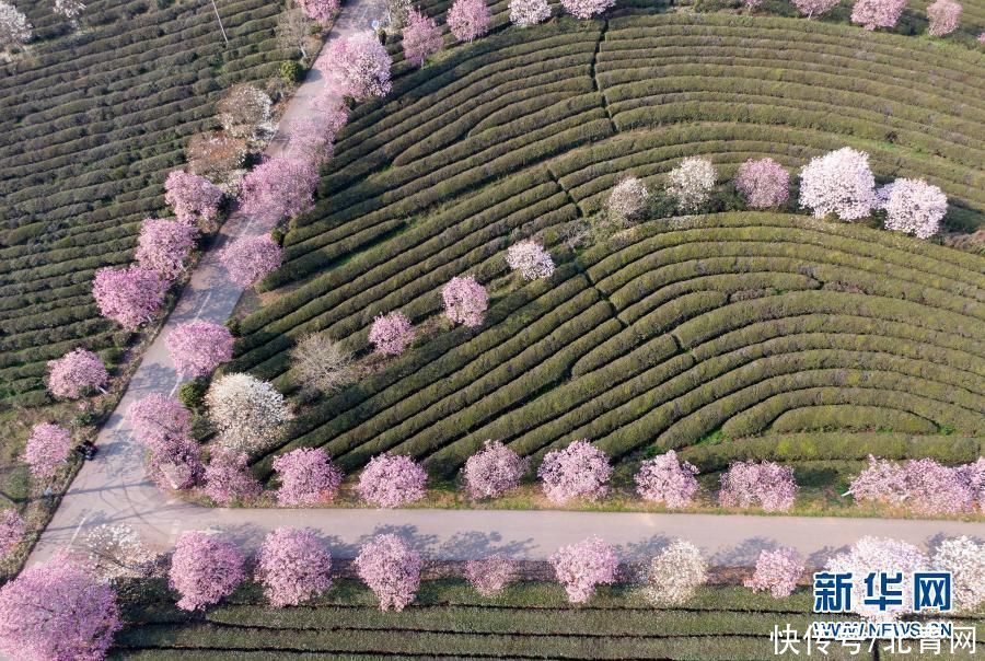 江西南昌：春游凤凰沟