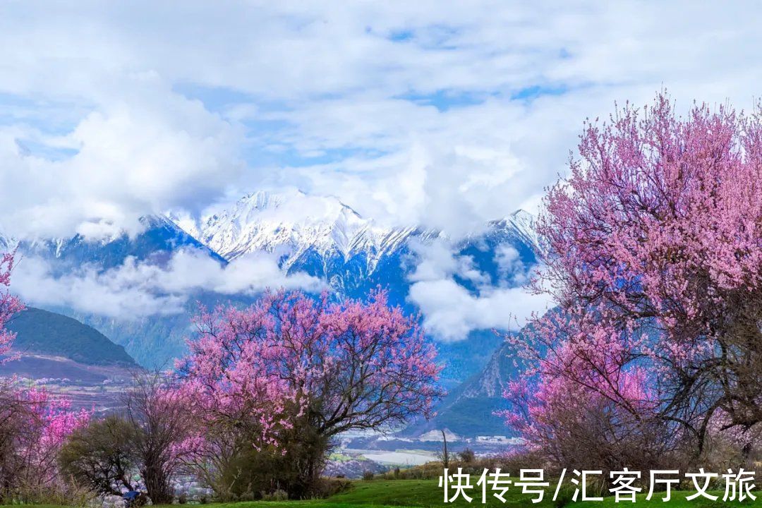 林芝|错过三月的林芝，你就错过了2022年中国最美的春天