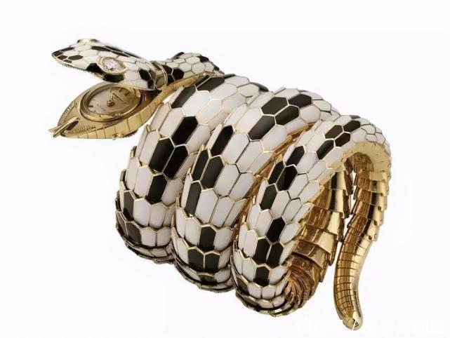 豹子|卡地亚的豹子宝格丽的蛇,大牌为什么要和凶残动物搞组合